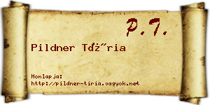 Pildner Tíria névjegykártya